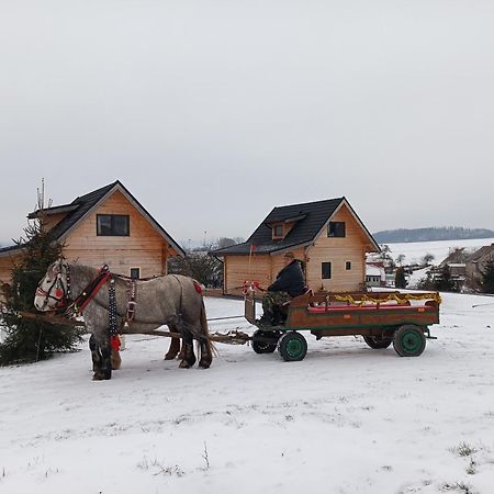 Domki Osada Bozkow W Kotlinie Klodzkiej Esterno foto